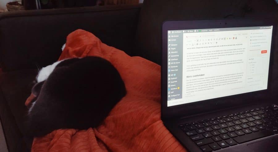 op de bank met kat en laptop