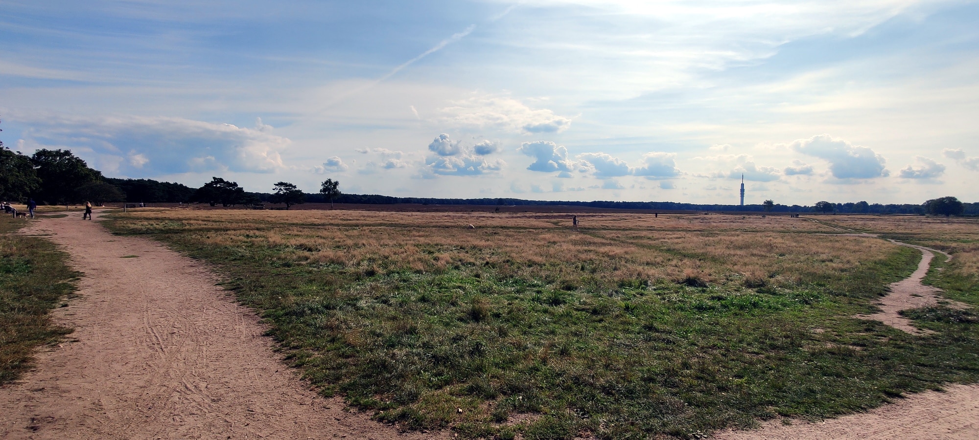 bussumerheide