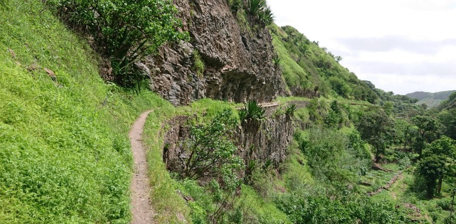 wandeling langs smalle paadjes